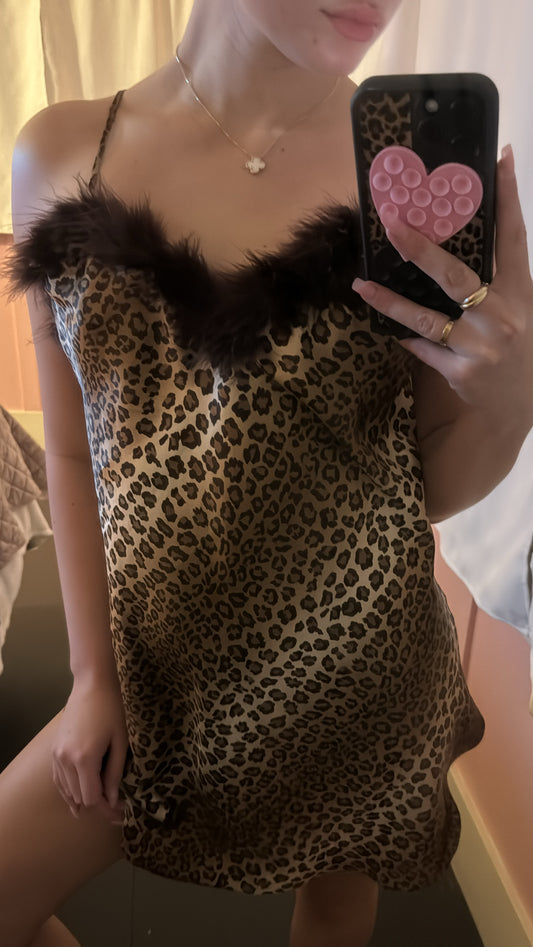 🐆